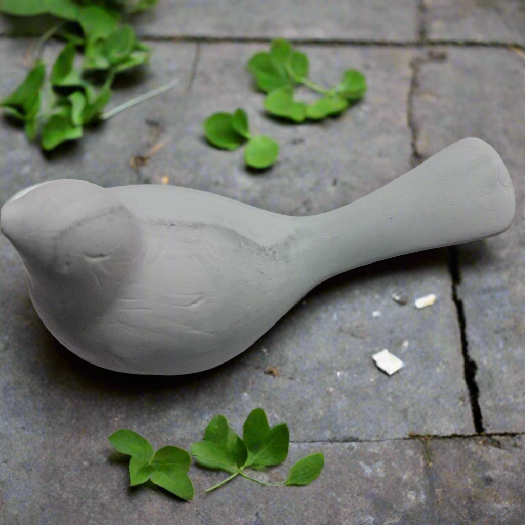 Pássaros: Cimento Queimado