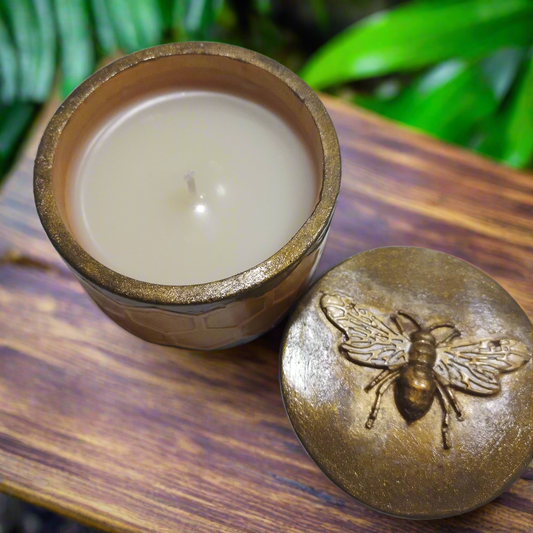 "Vela + Pote Favo de Mel"