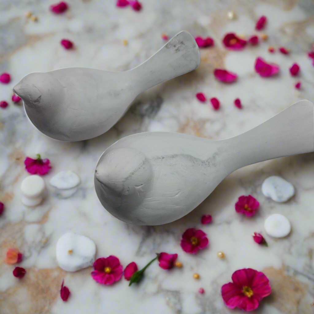 Pássaros: Cimento Queimado