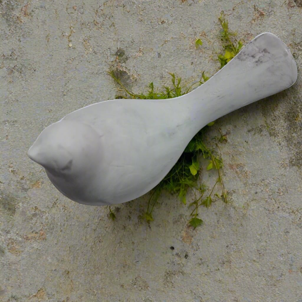 Pássaros: Cimento Queimado